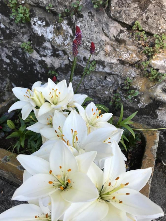 South Craighall B&B Eaglesham Bagian luar foto