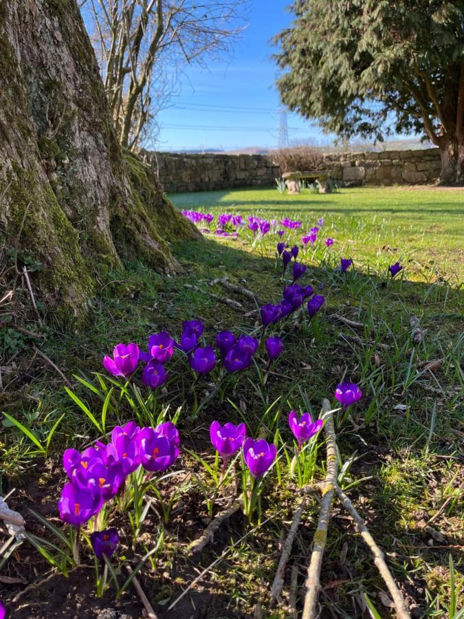 South Craighall B&B Eaglesham Bagian luar foto
